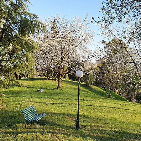 Flangini 3* Asolo