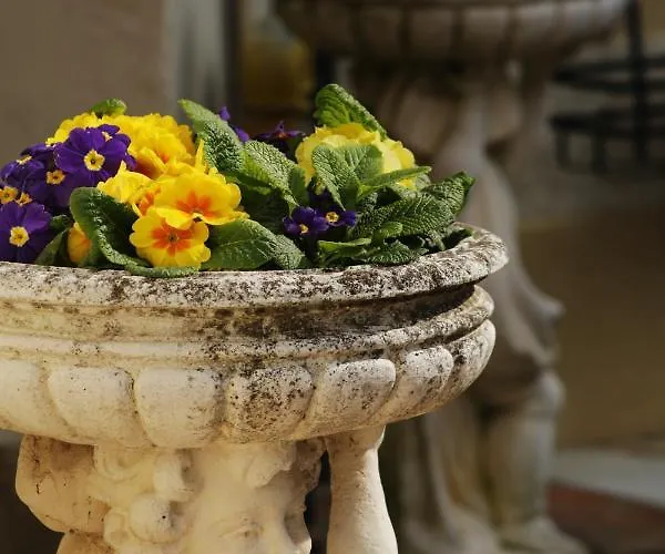 Flangini Отель типа 