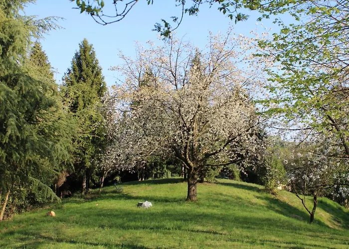 Flangini 3* Азоло