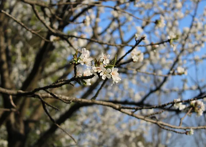 Flangini Bed & Breakfast Asolo