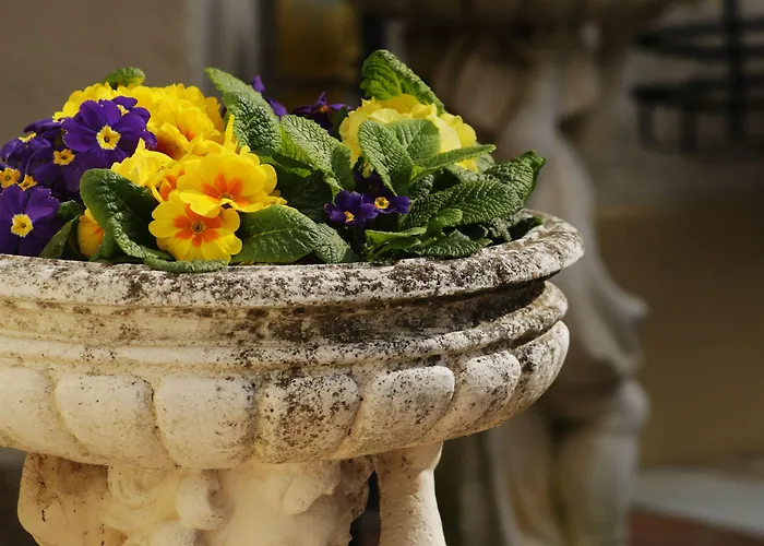 Bed & Breakfast Flangini 3*