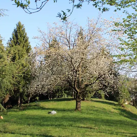 Flangini 3* アーゾロ